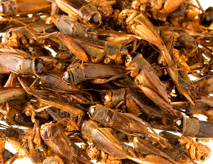 UNIKUM Naturfutter WILD